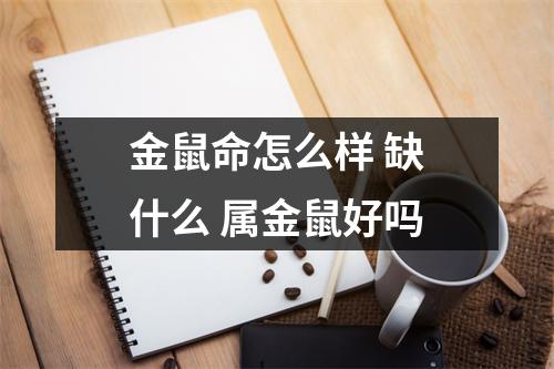 金鼠命怎么样缺什么属金鼠好吗