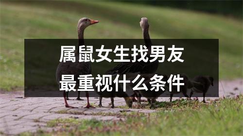 属鼠女生找男友重视什么条件