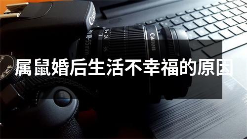 属鼠婚后生活不幸福的原因