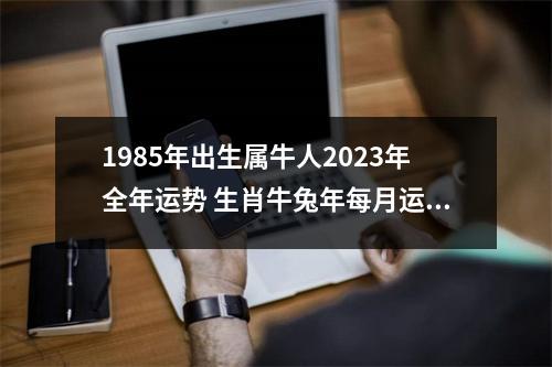 1985年出生属牛人2025年全年运势生肖牛兔年每月运势
