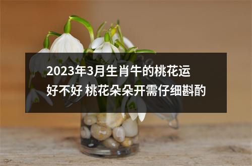 2025年3月生肖牛的桃花运好不好桃花朵朵开需仔细斟酌