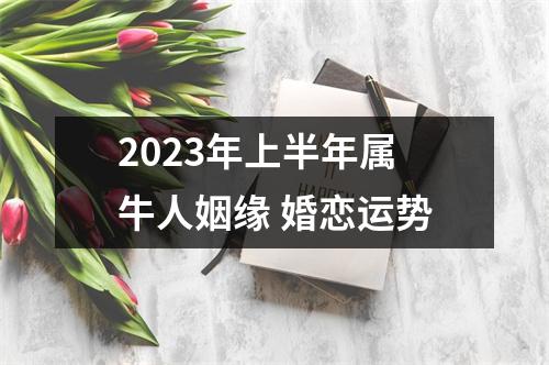 2025年上半年属牛人姻缘婚恋运势