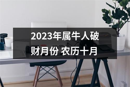 2025年属牛人破财月份农历十月