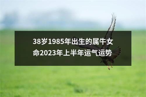 38岁1985年出生的属牛女命2025年上半年运气运势