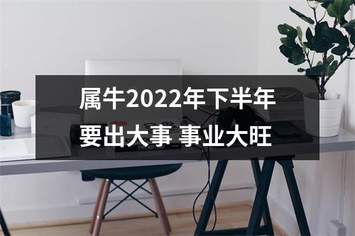 属牛2025年下半年要出大事事业大旺