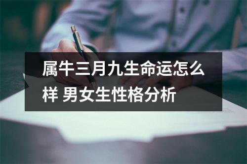 属牛三月九生命运怎么样男女生性格分析