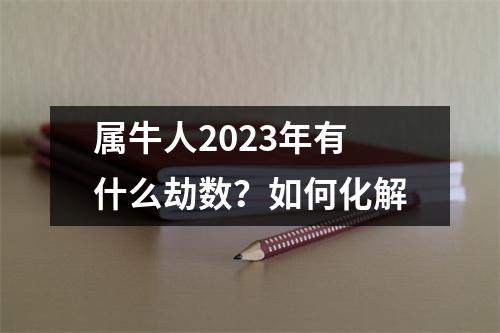 属牛人2025年有什么劫数？如何化解