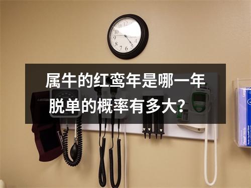 属牛的红鸾年是哪一年脱单的概率有多大？