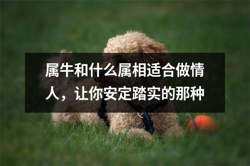 属牛和什么属相适合做情人，让你安定踏实的那种