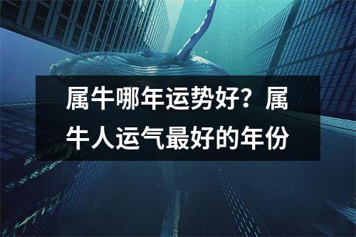 属牛哪年运势好？属牛人运气好的年份