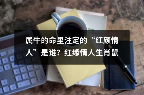 属牛的命里注定的“红颜情人”是谁？红缘情人生肖鼠