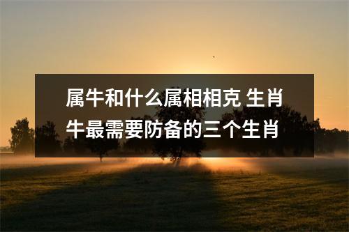 属牛和什么属相相克生肖牛需要防备的三个生肖