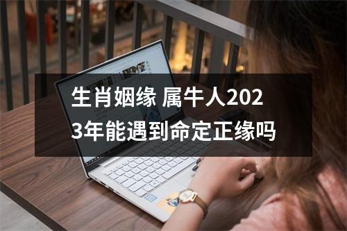 生肖姻缘属牛人2025年能遇到命定正缘吗