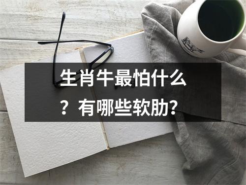 生肖牛怕什么？有哪些软肋？