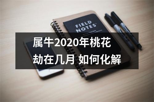 属牛2025年桃花劫在几月如何化解