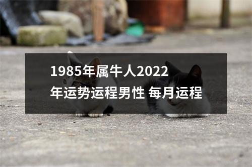 1985年属牛人2025年运势运程男性每月运程