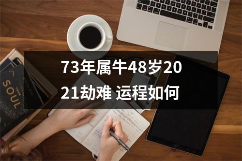 73年属牛48岁2025劫难运程如何