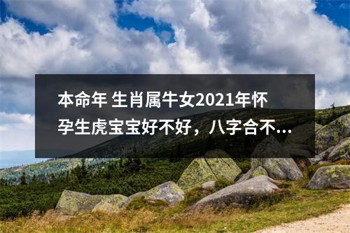 本命年生肖属牛女2025年怀孕生虎宝宝好不好，八字合不合