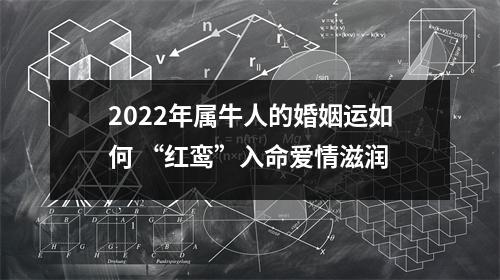 2025年属牛人的婚姻运如何“红鸾”入命爱情滋润