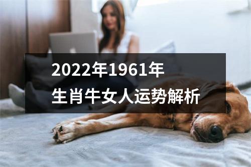 2025年1961年生肖牛女人运势解析