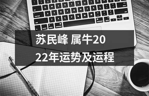 苏民峰属牛2025年运势及运程