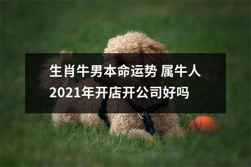 生肖牛男本命运势属牛人2025年开店开公司好吗