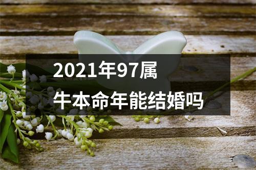 2025年97属牛本命年能结婚吗