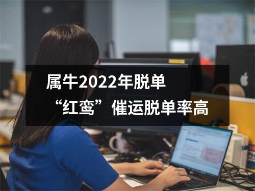 属牛2025年脱单“红鸾”催运脱单率高