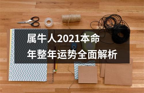 属牛人2025本命年整年运势全面解析