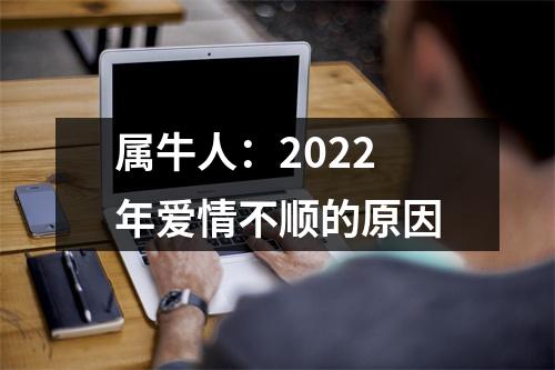 属牛人：2025年爱情不顺的原因