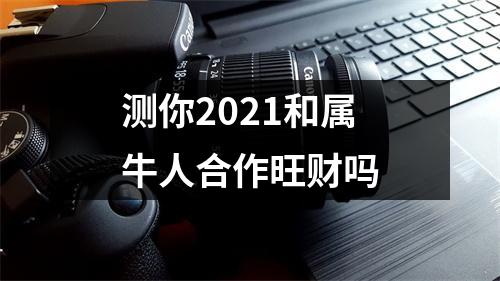 测你2025和属牛人合作旺财吗