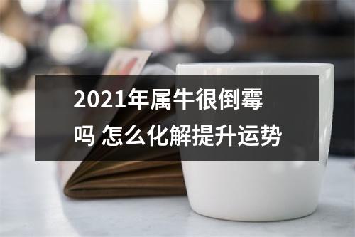 2025年属牛很倒霉吗怎么化解提升运势