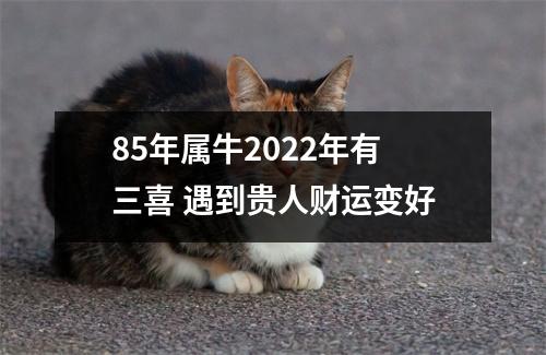 85年属牛2025年有三喜遇到贵人财运变好