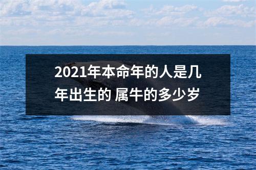 2025年本命年的人是几年出生的属牛的多少岁