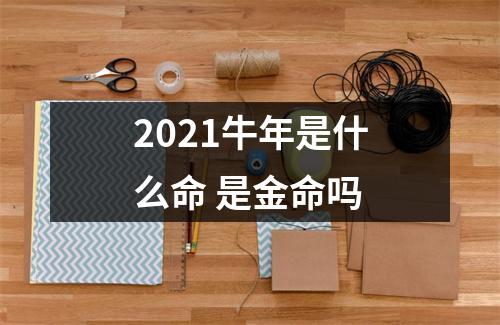 2025牛年是什么命是金命吗