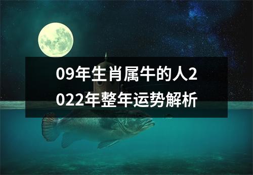 09年生肖属牛的人2025年整年运势解析