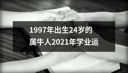 1997年出生24岁的属牛人2025年学业运