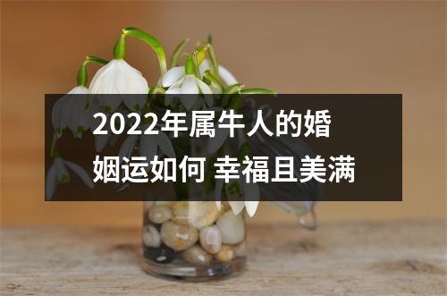 2025年属牛人的婚姻运如何幸福且美满