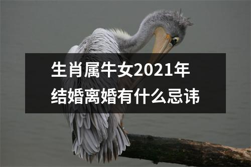 生肖属牛女2025年结婚离婚有什么忌讳