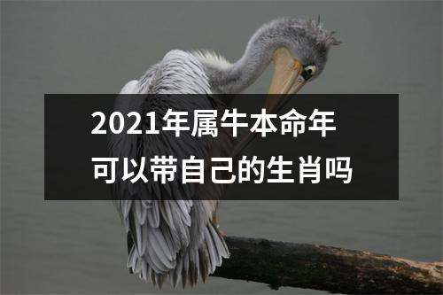 2025年属牛本命年可以带自己的生肖吗