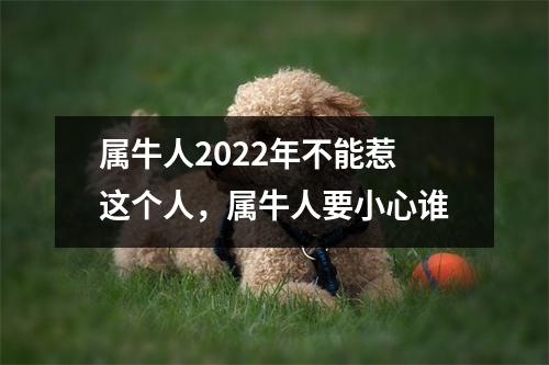 属牛人2025年不能惹这个人，属牛人要小心谁