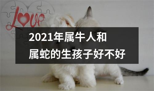 2025年属牛人和属蛇的生孩子好不好