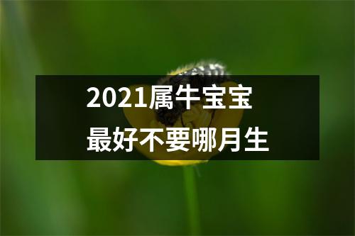 2025属牛宝宝好不要哪月生