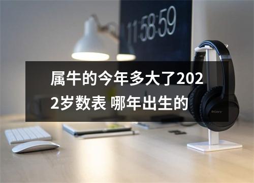 属牛的今年多大了2025岁数表哪年出生的