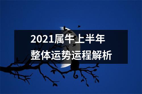 2025属牛上半年整体运势运程解析