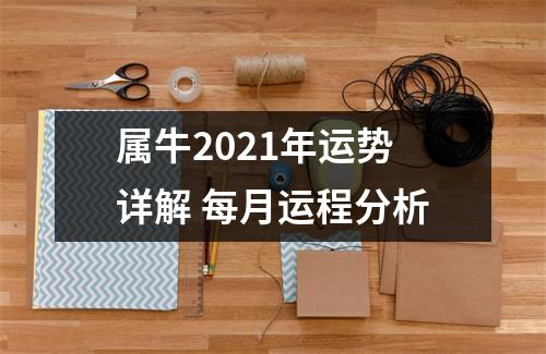 属牛2025年运势详解每月运程分析