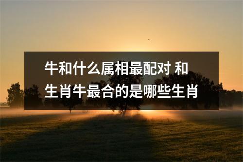 牛和什么属相配对和生肖牛合的是哪些生肖