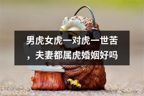 男虎女虎一对虎一世苦，夫妻都属虎婚姻好吗