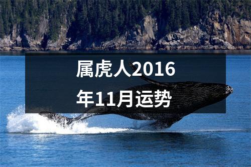 属虎人2016年11月运势