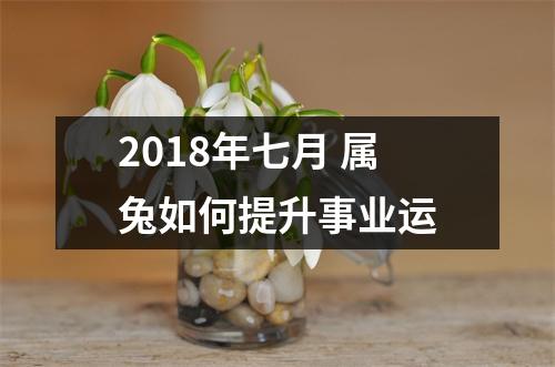 2018年七月属兔如何提升事业运